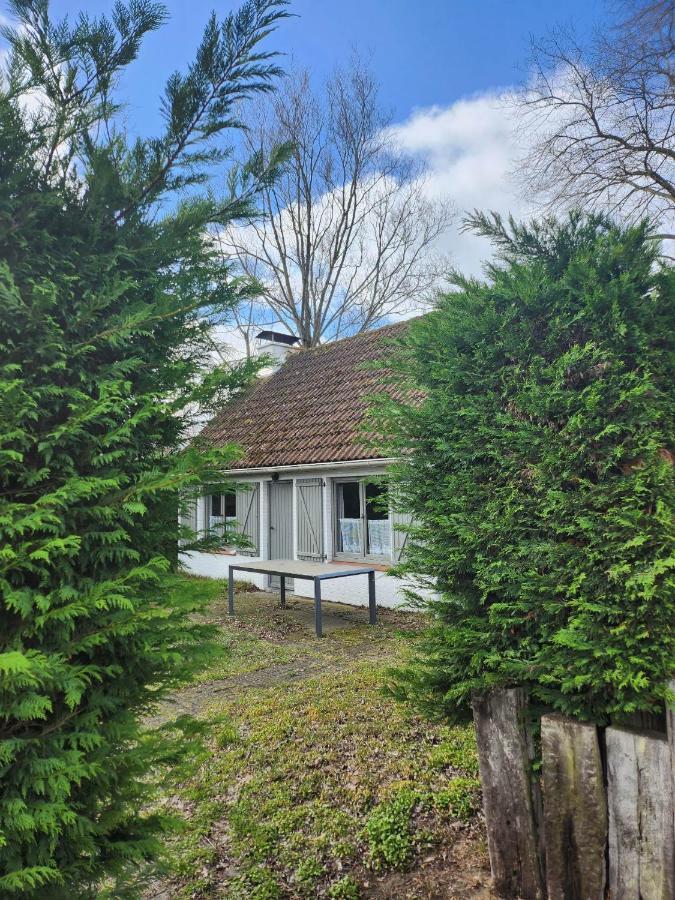 Maison Sunpark Oostduinkerk 550 Villa Koksijde Eksteriør bilde